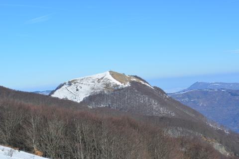 Carevolo